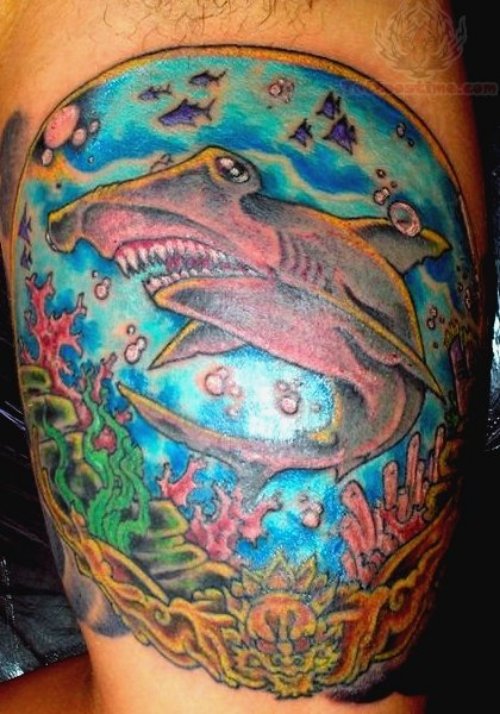 Hammerhead Shark Tattoo On Shoulder